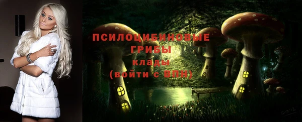 меф Дмитриев