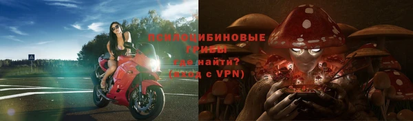 меф Дмитриев