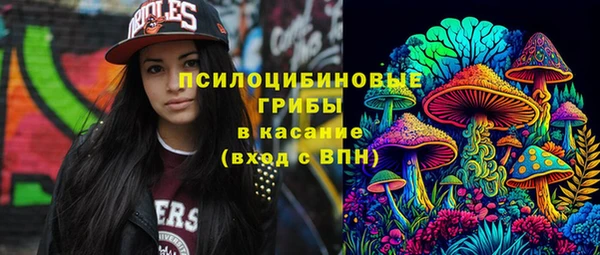 первитин Дмитровск