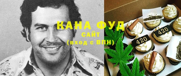меф Дмитриев