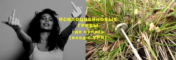 меф Дмитриев