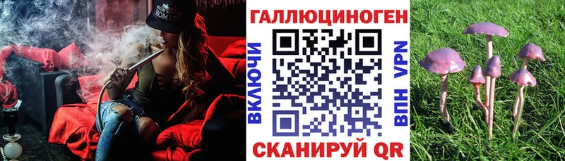Галлюциногенные грибы Cubensis  Купить где  Первомайск 